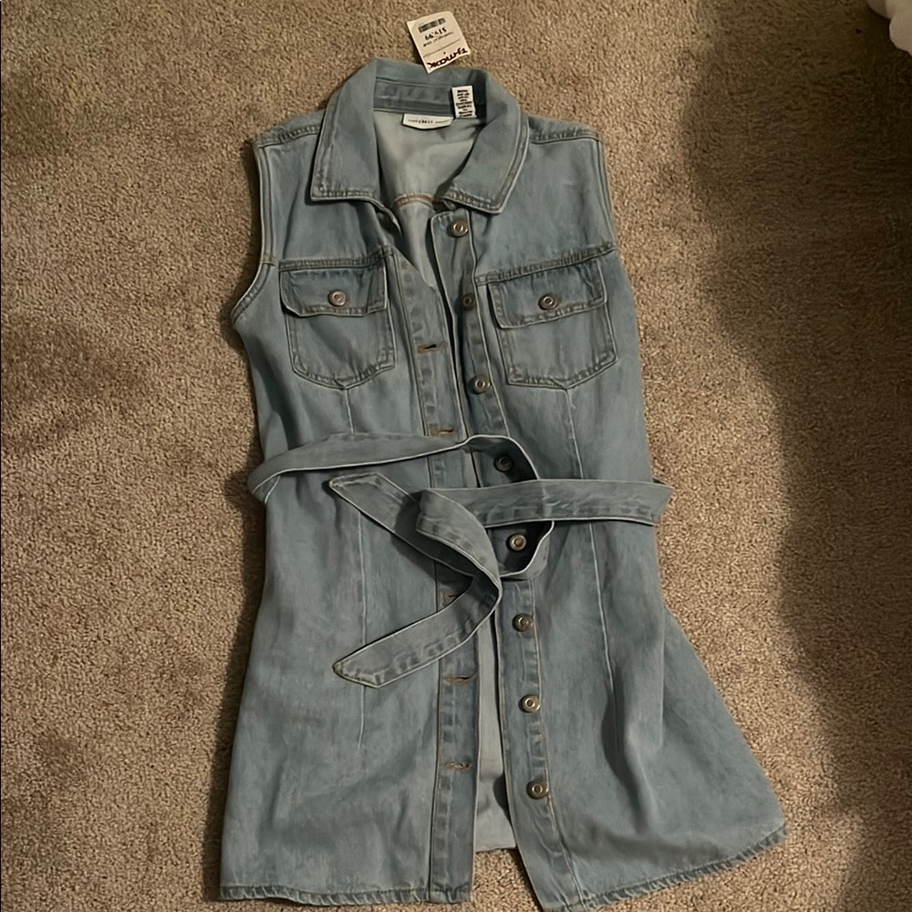 Sincerely Jules Denim Sleeveless Button-Up Dress